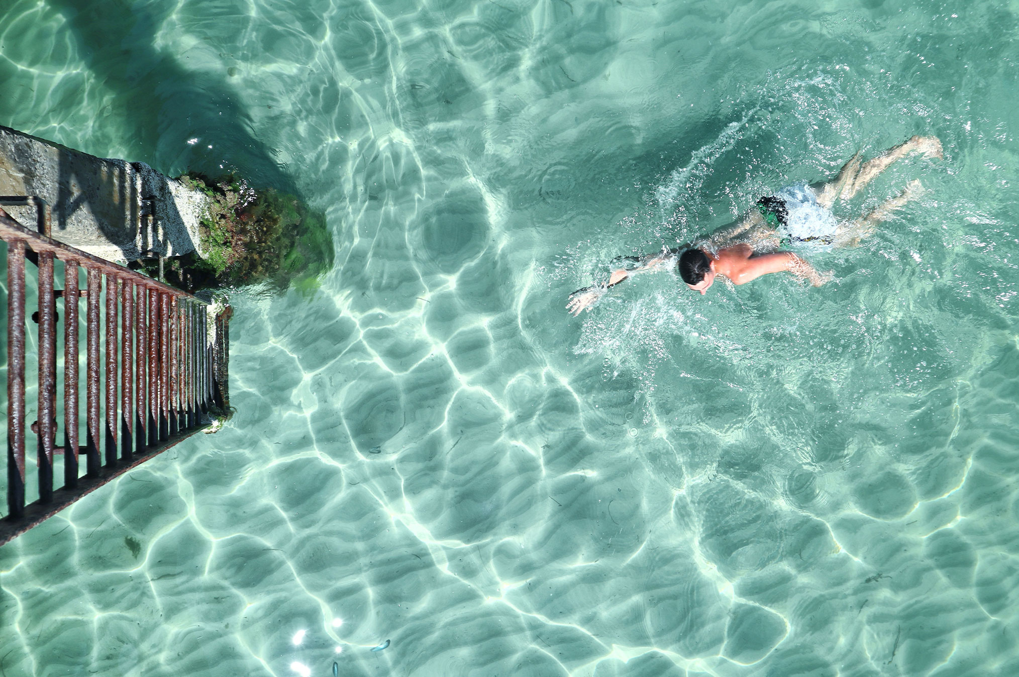 Glenelgbeach Adelaie Swimming 2028X1347