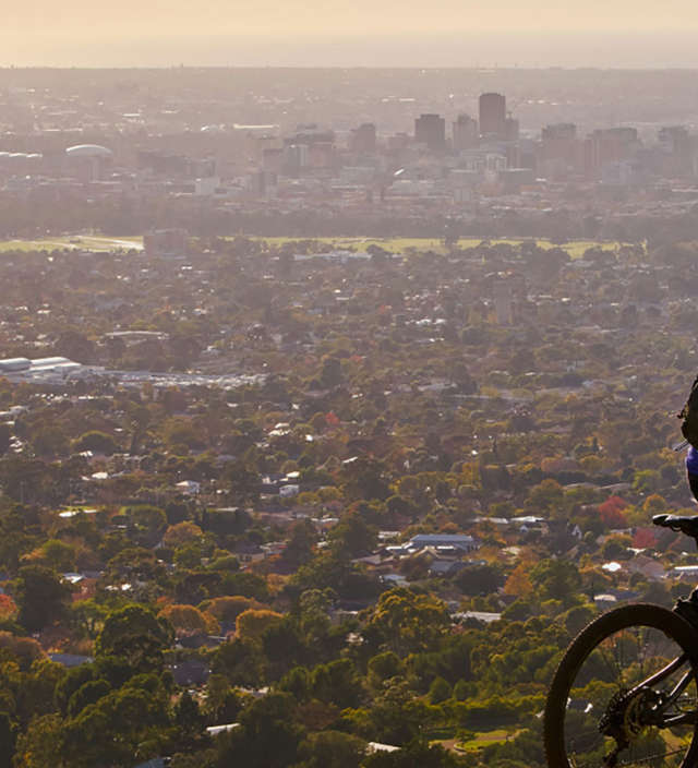 Adelaide’s Top 10 Adventures For Sports Lovers 