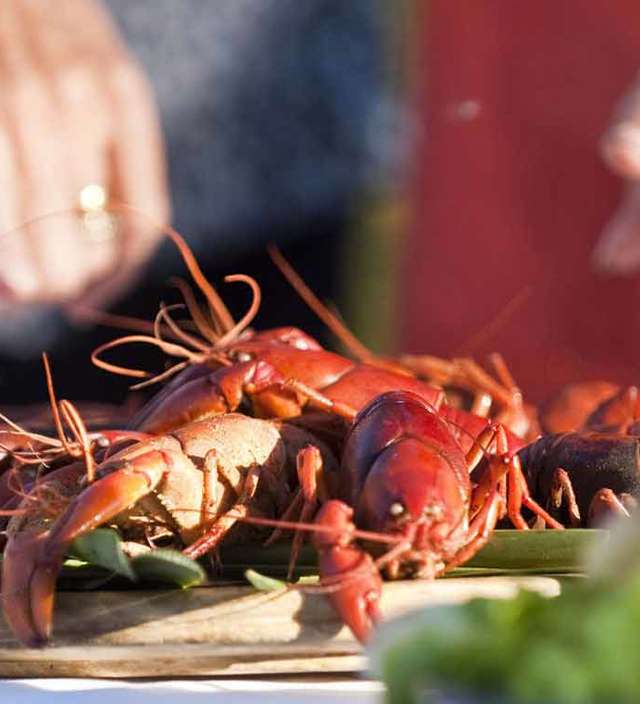The slow food trail on the Murray River