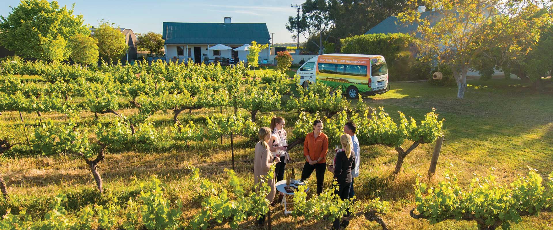 Tours in the Barossa