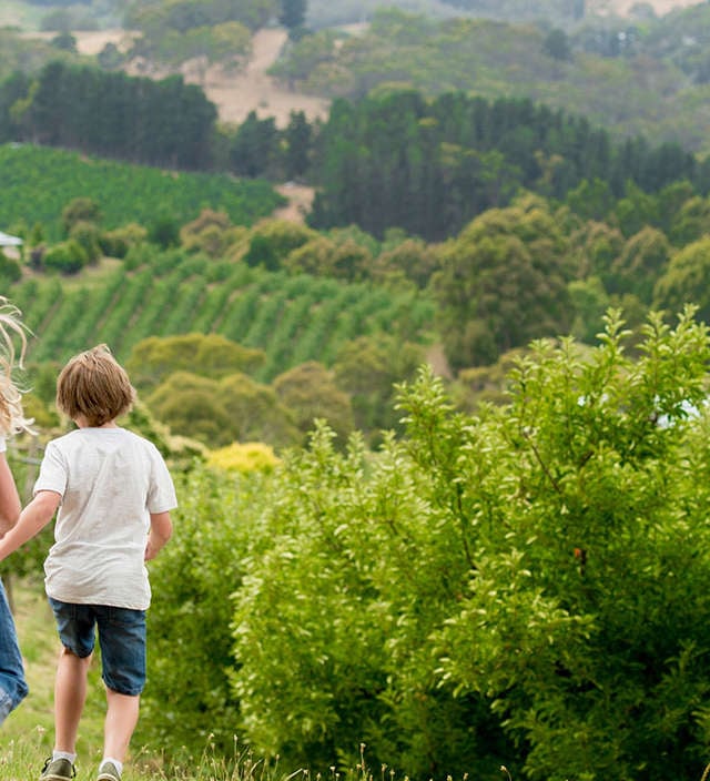 Kids and family events in the Adelaide Hills