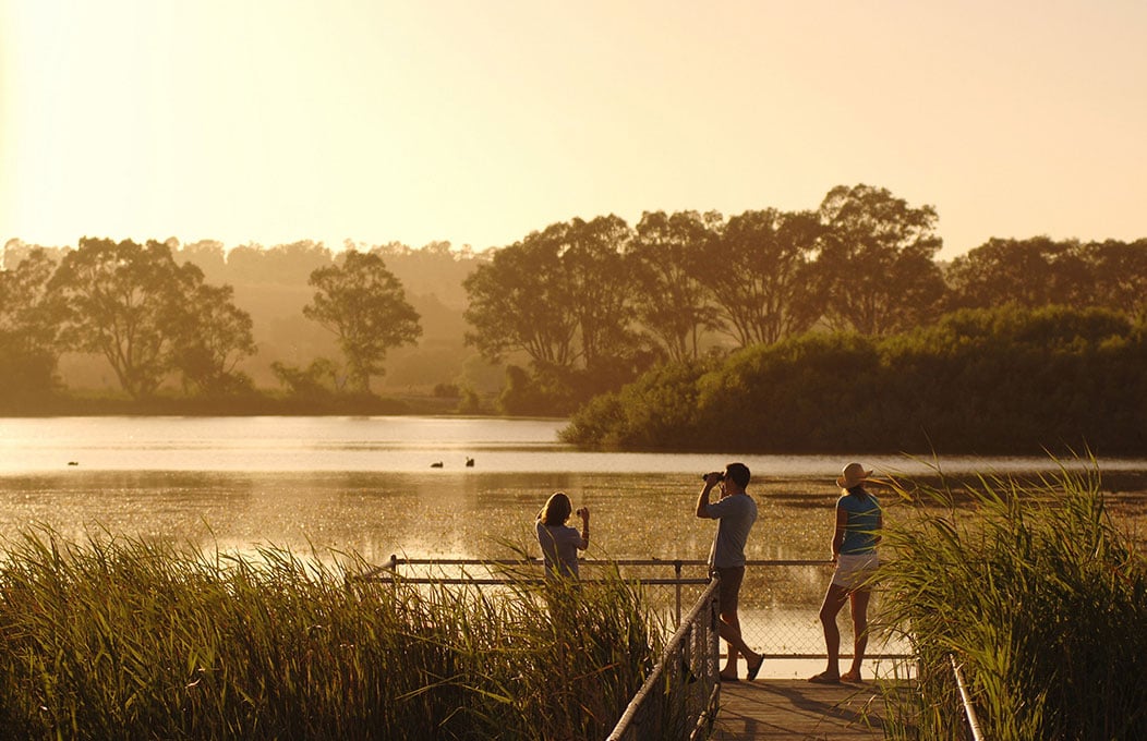Murray River, Lakes & Coorong