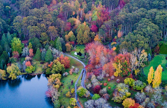Mount Lofty Botanic Gardens, Adelaide Hills