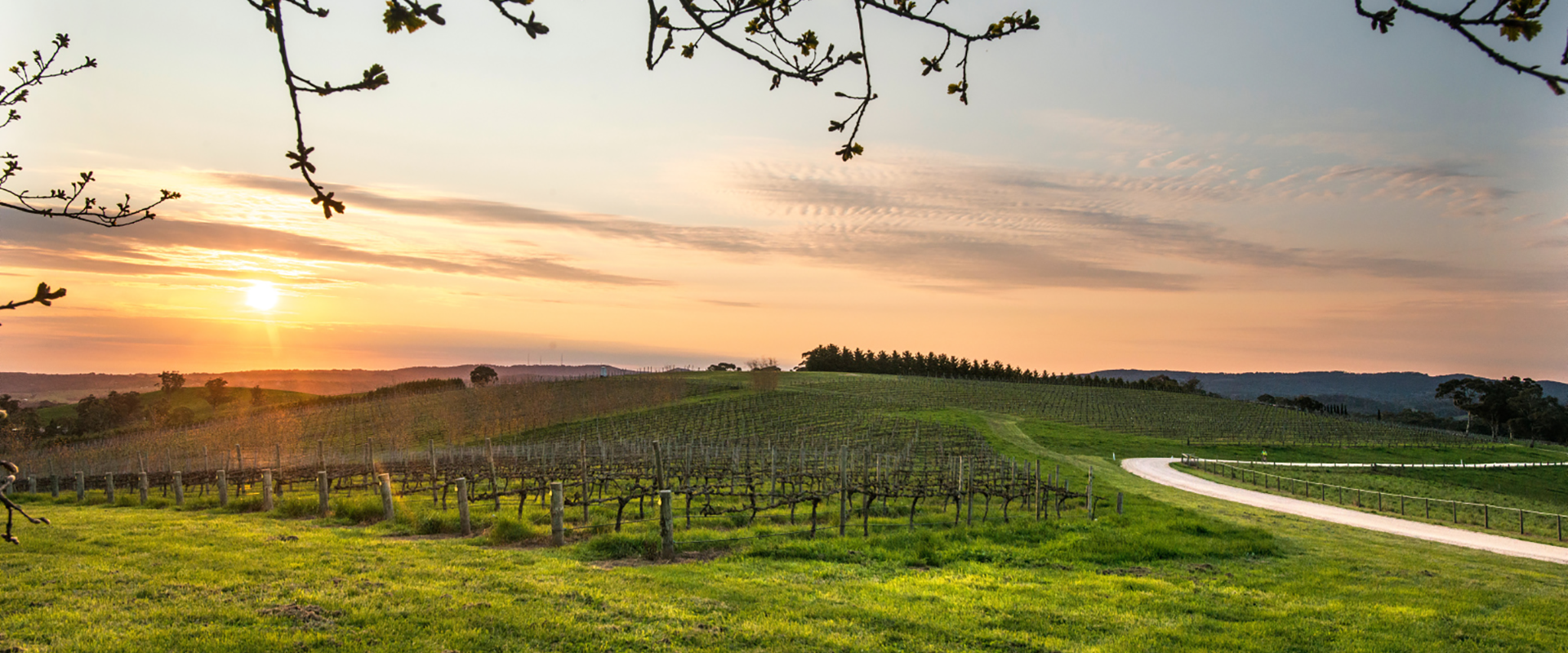 Hahndorf, Adelaide Hills