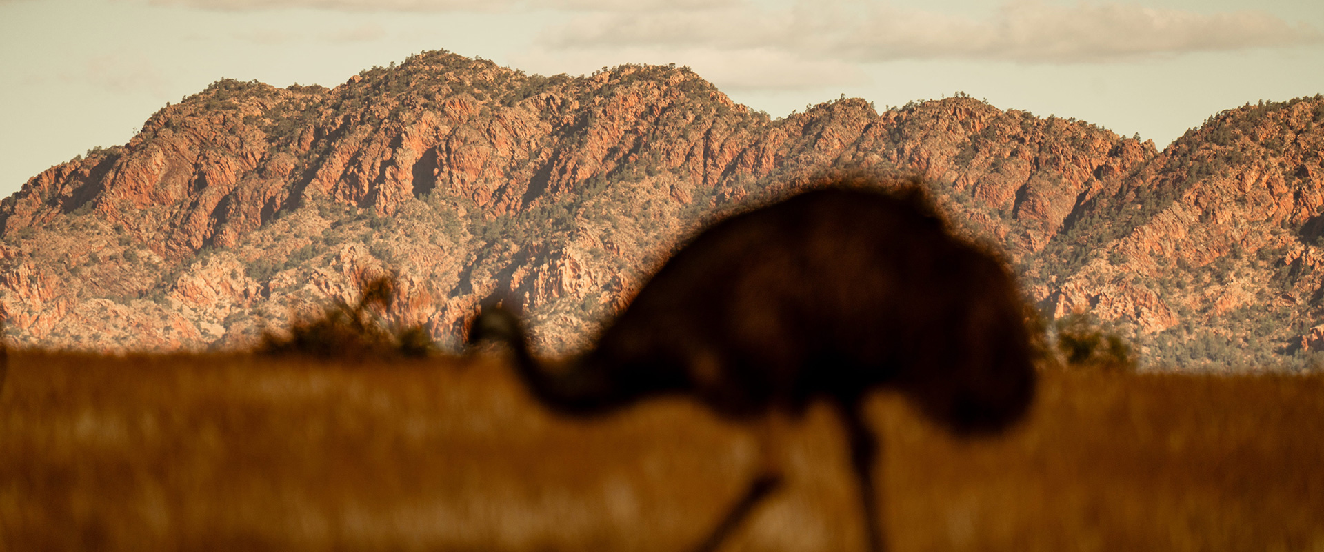 Rawnsley Park Station, Flinders Ranges & Outback