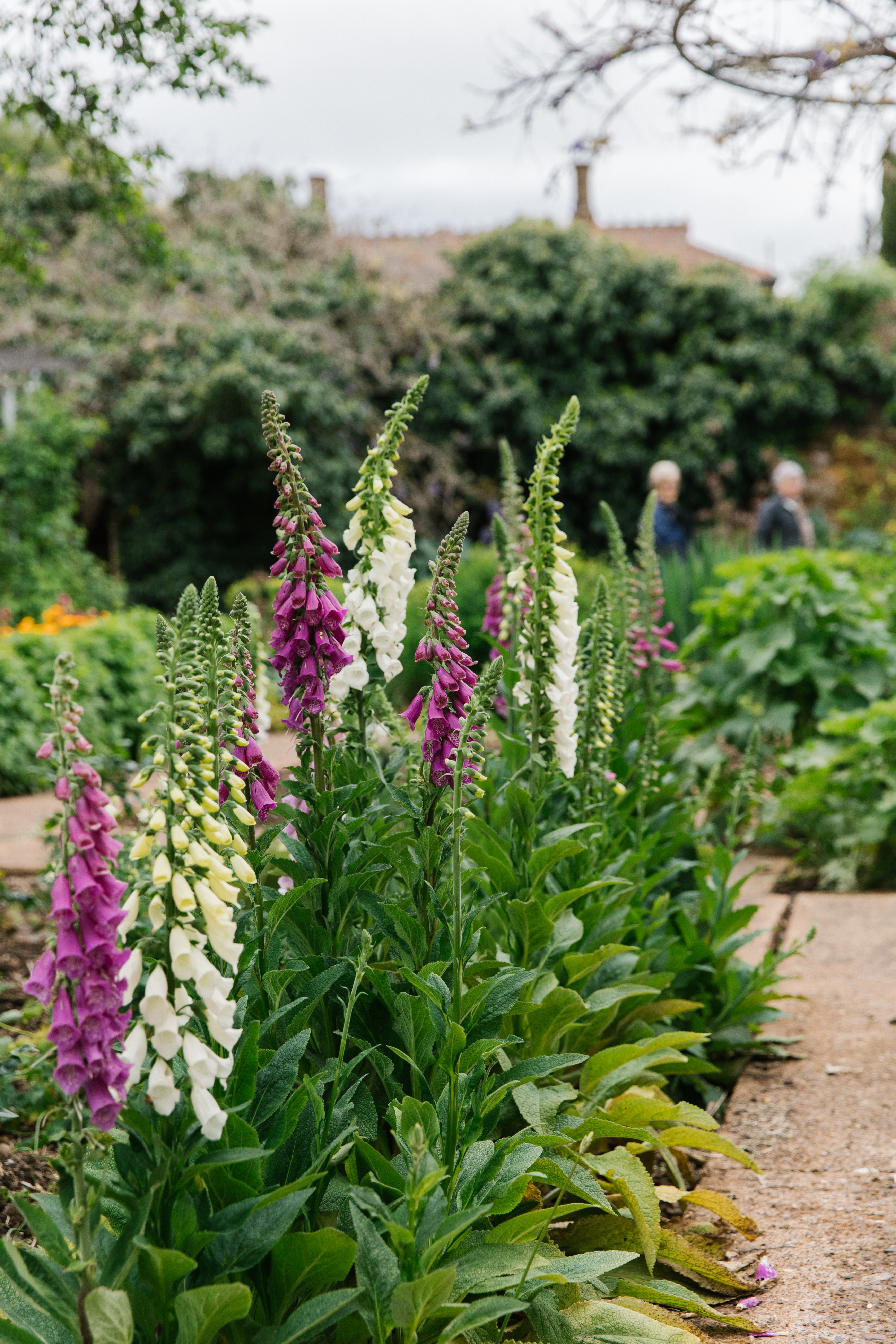 Anlaby Spring Festival 