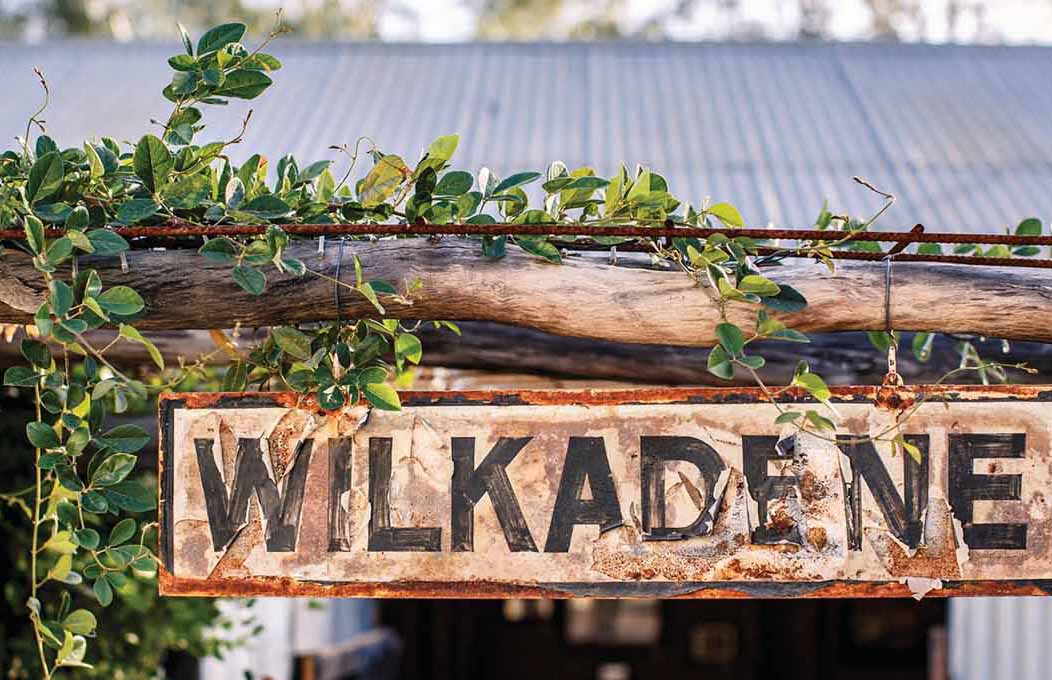 Tourist attractions in the Riverland