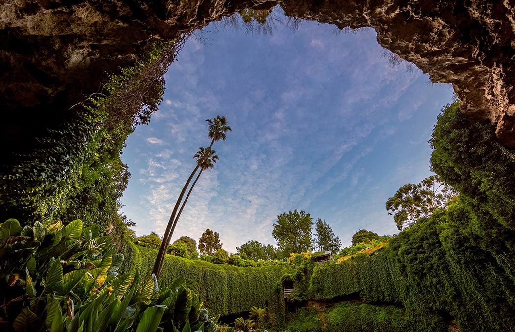 Two people wander through vines within a sunken cave