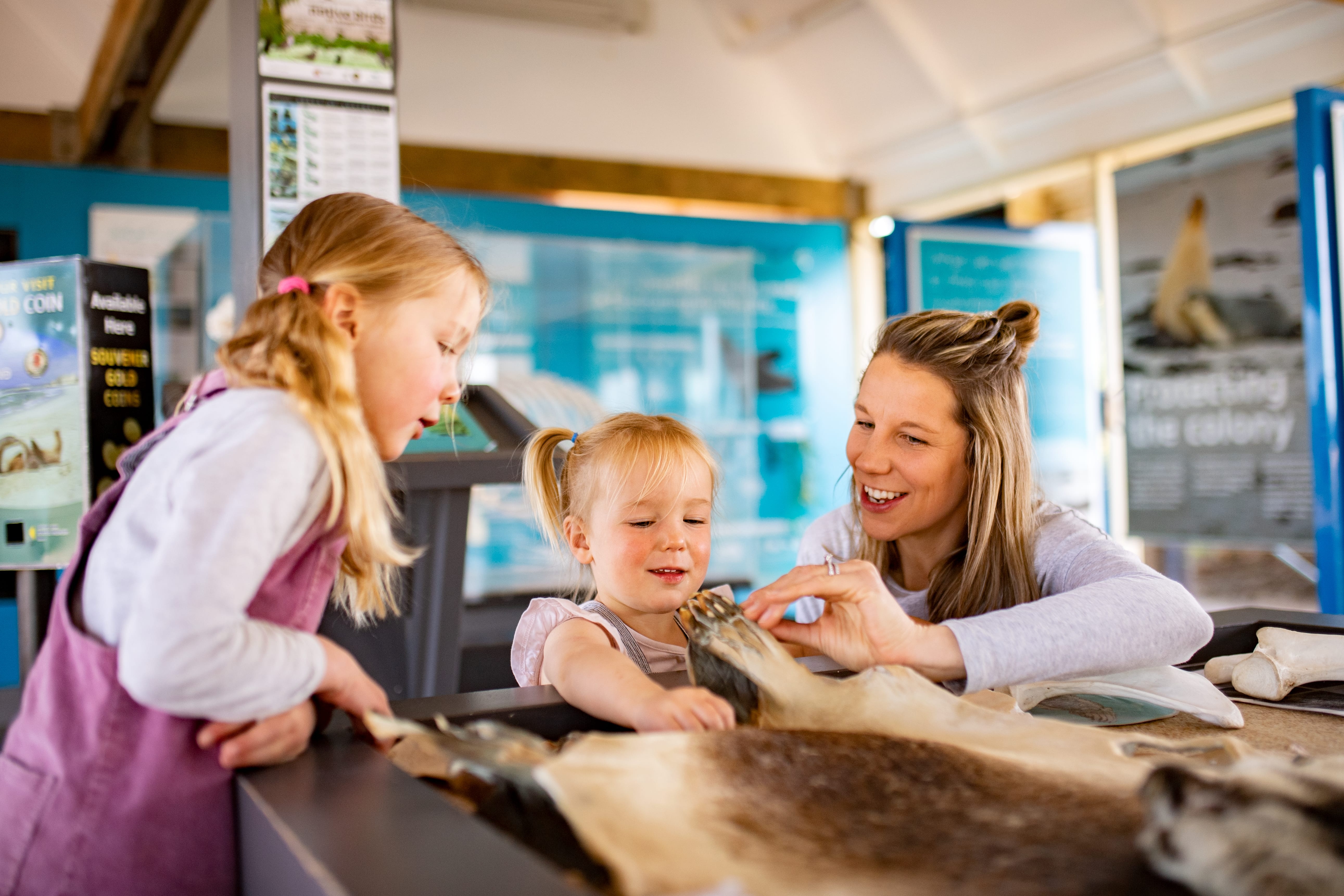 A mother showing her daughters the exhibition of animal pieces collected from the visitor center at Seal Bay on Kangaroo Island