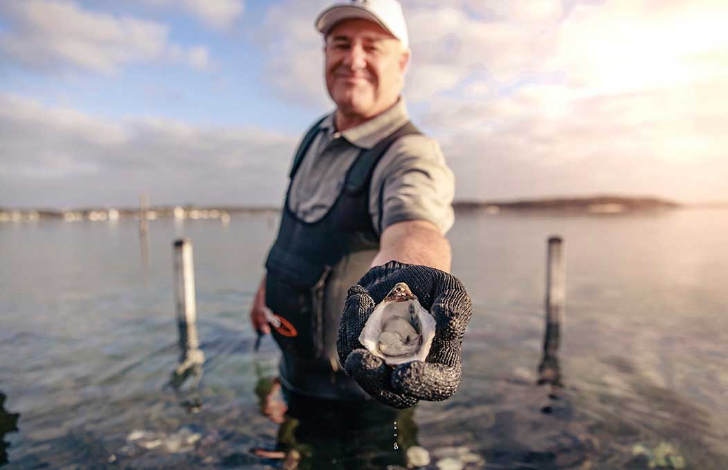 Oyster Farm Tours, Coffin Bay, Eyre Peninsula