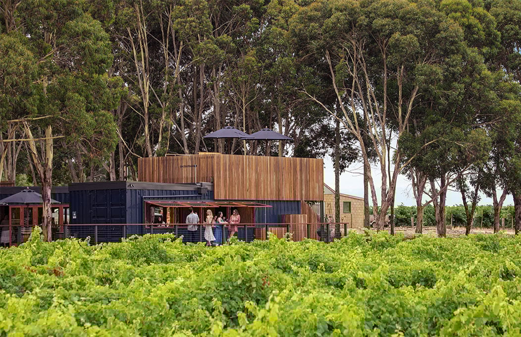 People enjoying wine on the balcony of a winery amongst grape vines