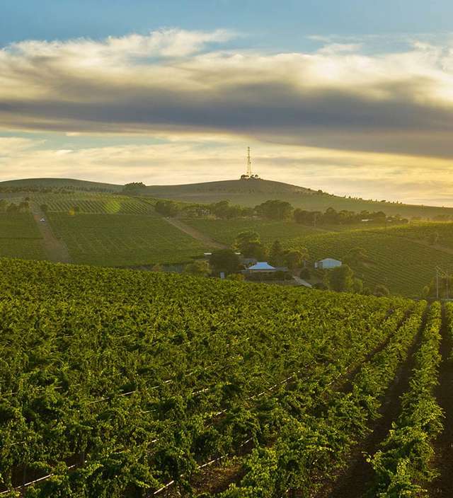 Places in Clare Valley