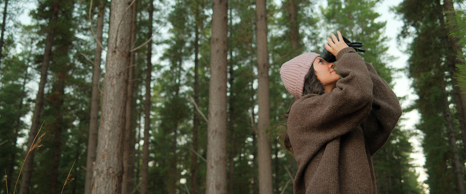 NEW BRAND FP Kuitpo Forest Bird Watching Close 1920X800