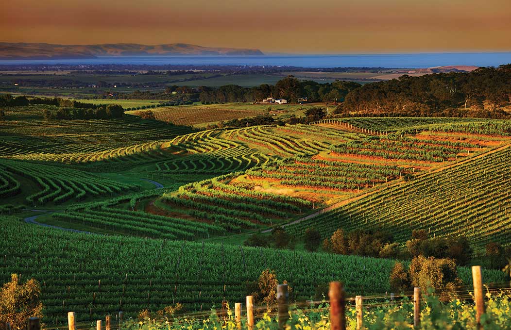 Outdoor activities and things to do in the Fleurieu Peninsula