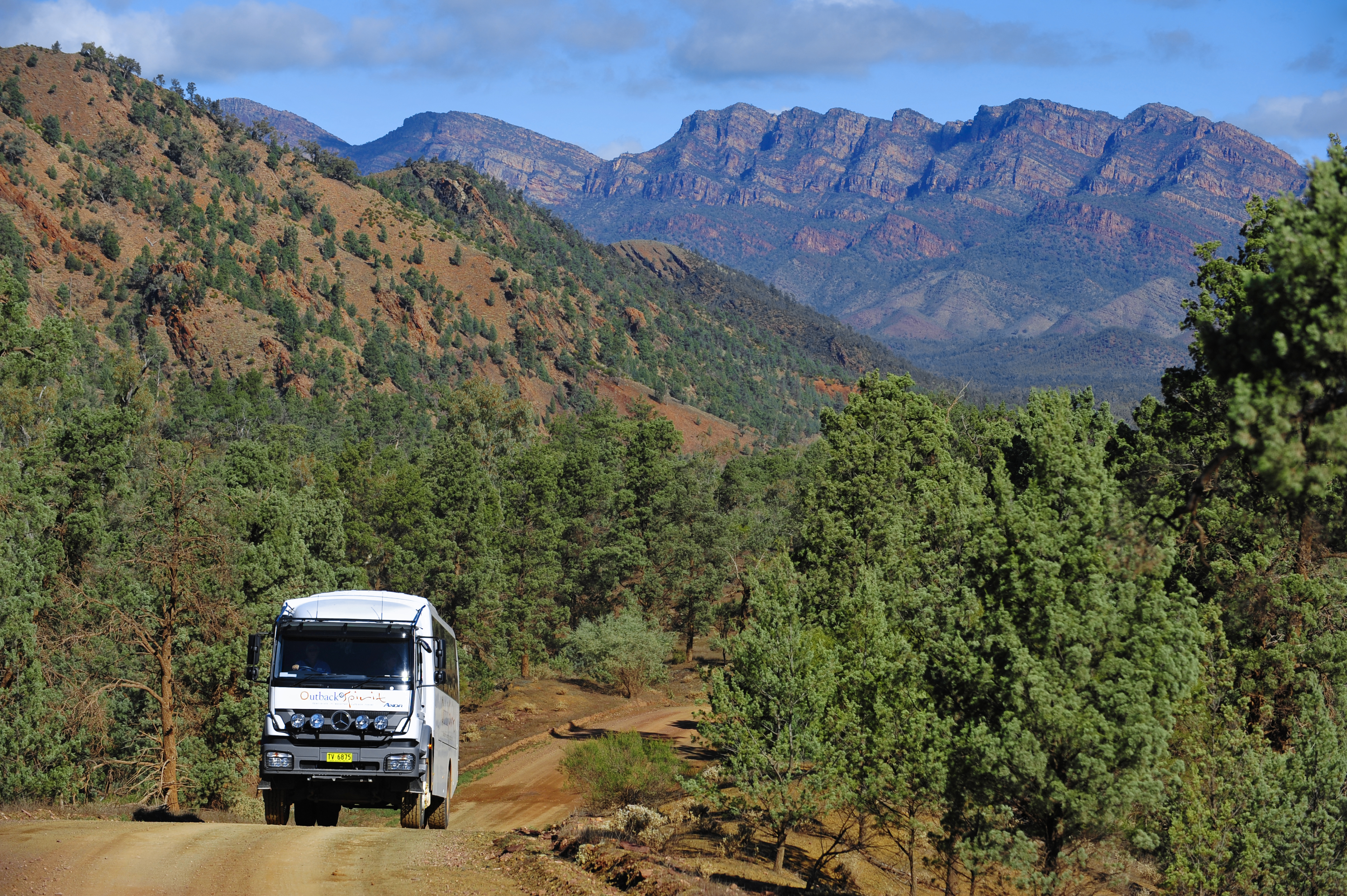 Two emus running along a dirt road with the majestic Flinders Ranges in the background