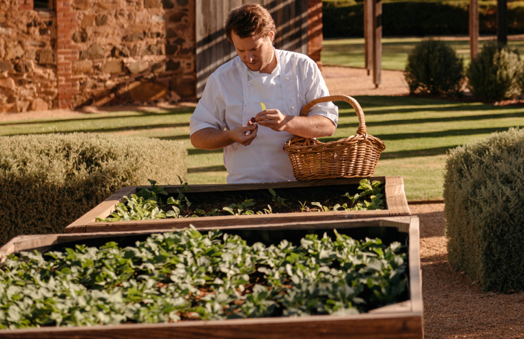 Hentley Farm, Barossa