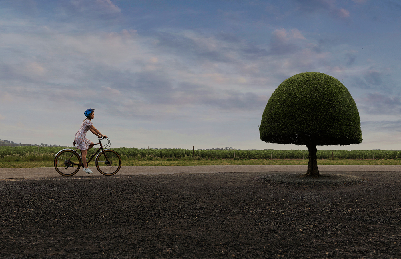 Riesling Trail, Clare Valley