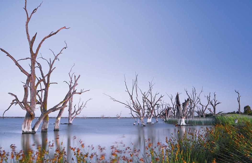 Outdoor activities and things to do in the Riverland