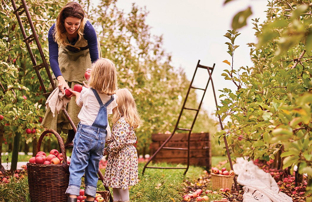 Adelaide Hills nature and outdoor activities