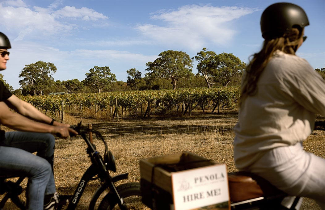 Two people riding bikes alongside vineyards