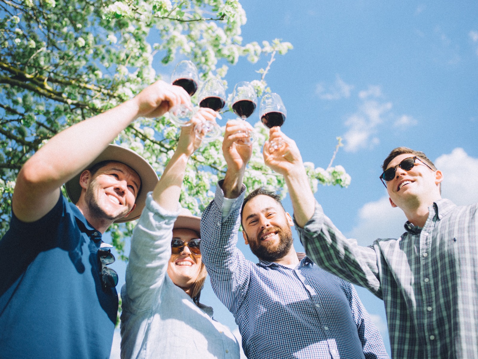 Four people raising glasses of red wine in a toast under a blue sky with blooming trees—capturing a joyful outdoor moment of celebration and connection.