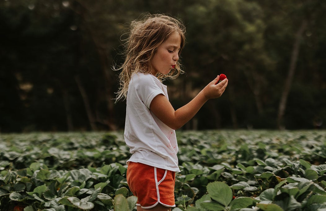Beerenberg, Adelaide Hills