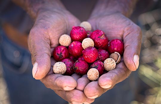 Top 10 Aboriginal landmarks and experiences