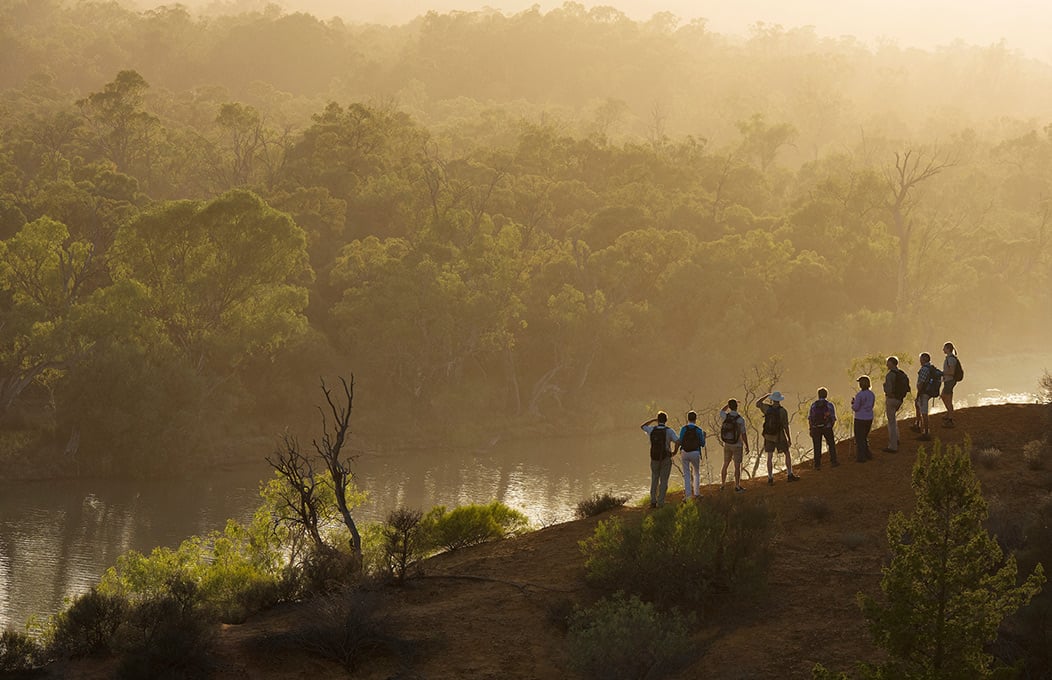 Murray River Walk, Murray River, Lakes And Coorong