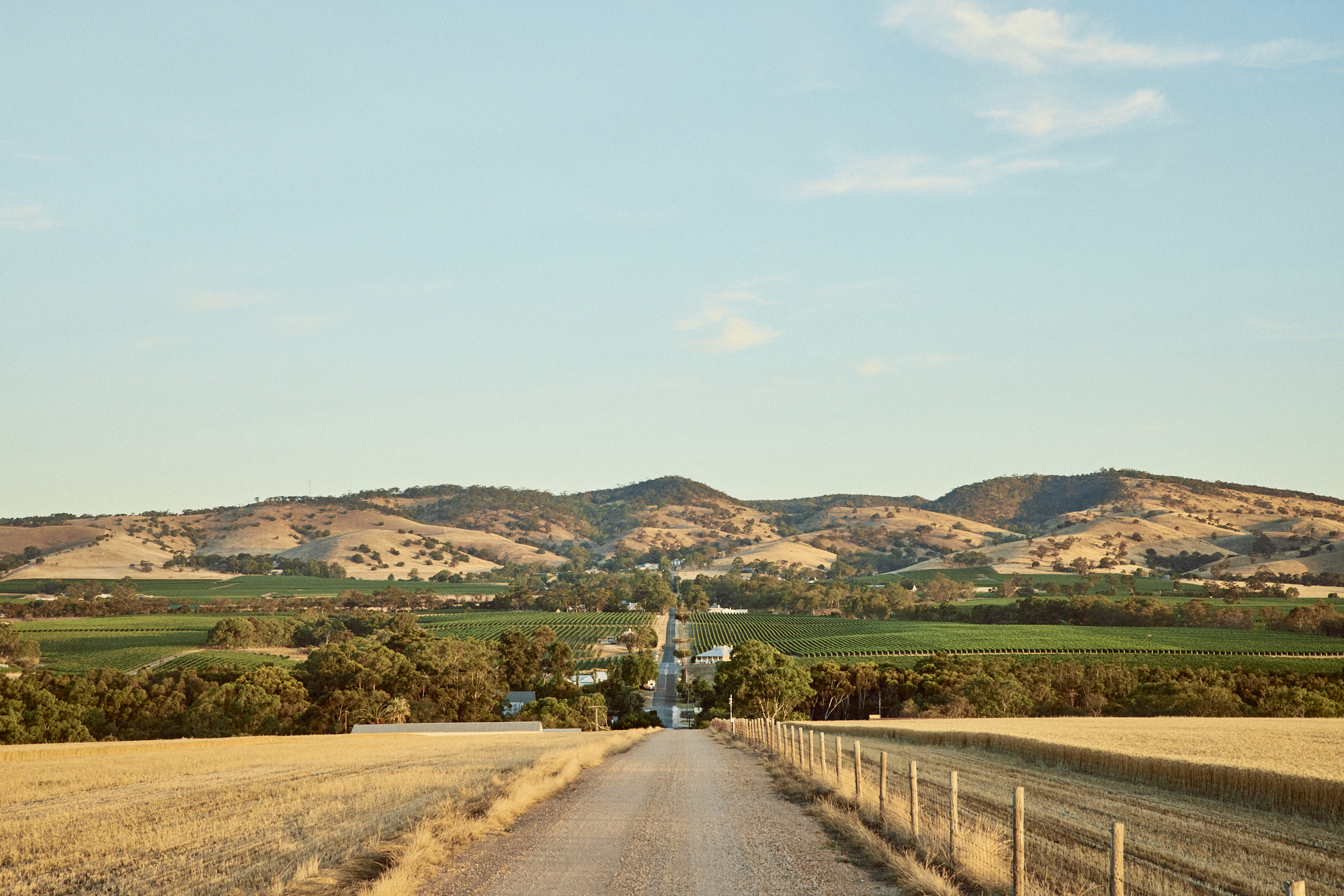Tanunda, Barossa