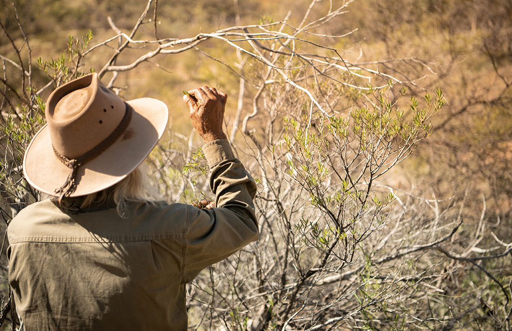 Aboriginal landmarks and experiences