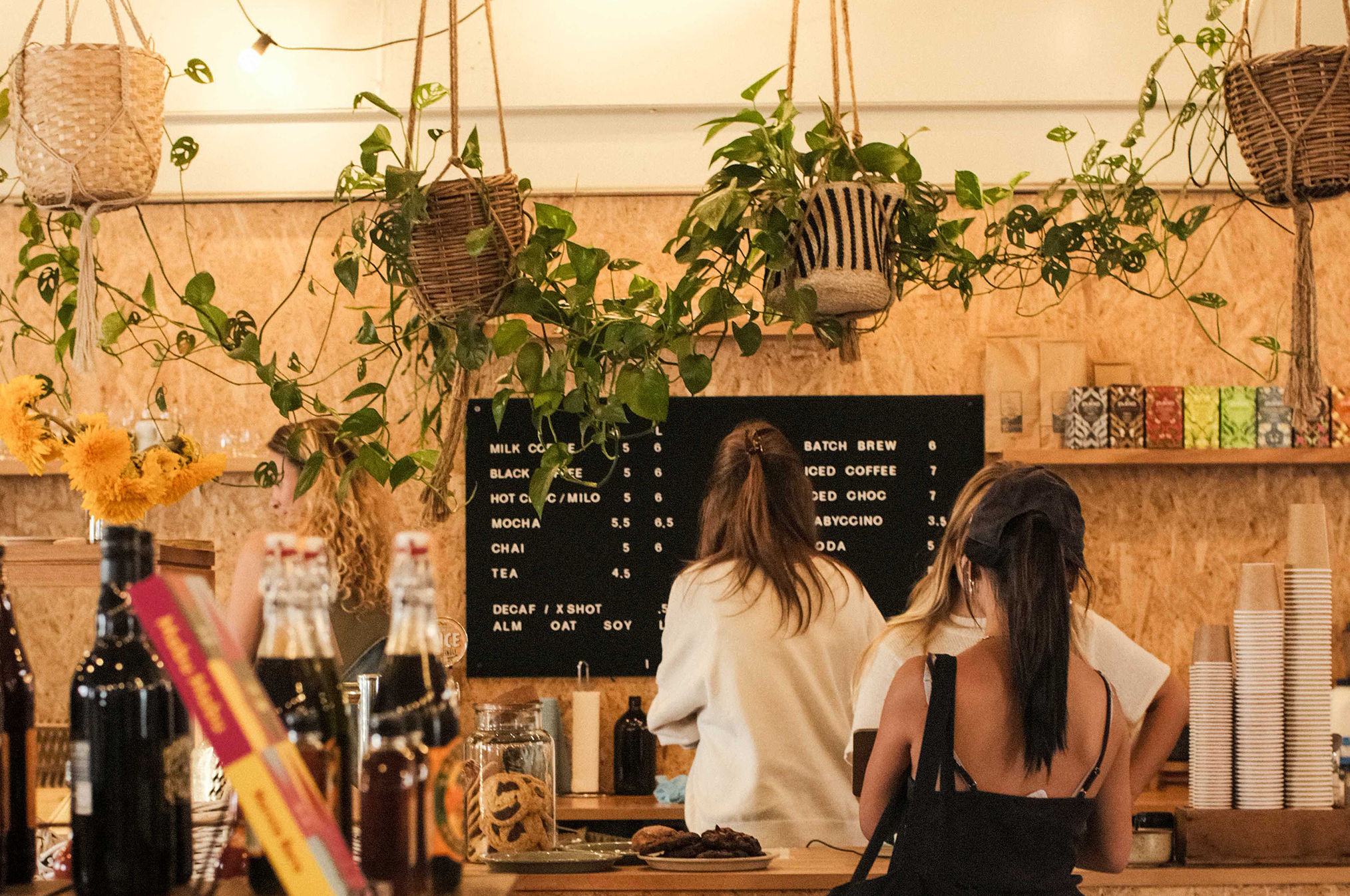 Where to find the best coffee In Adelaide