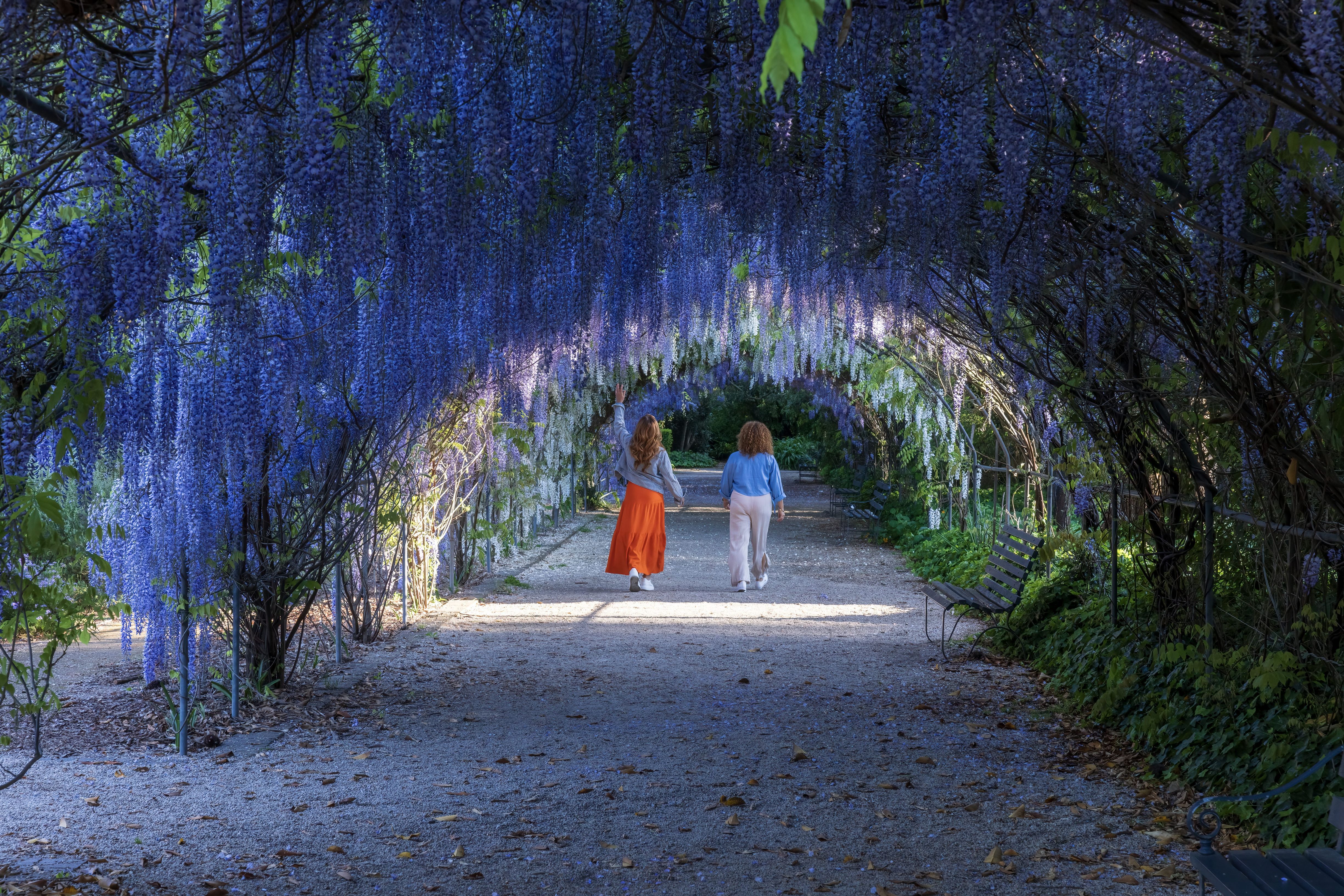 Adelaide Botanic Garden