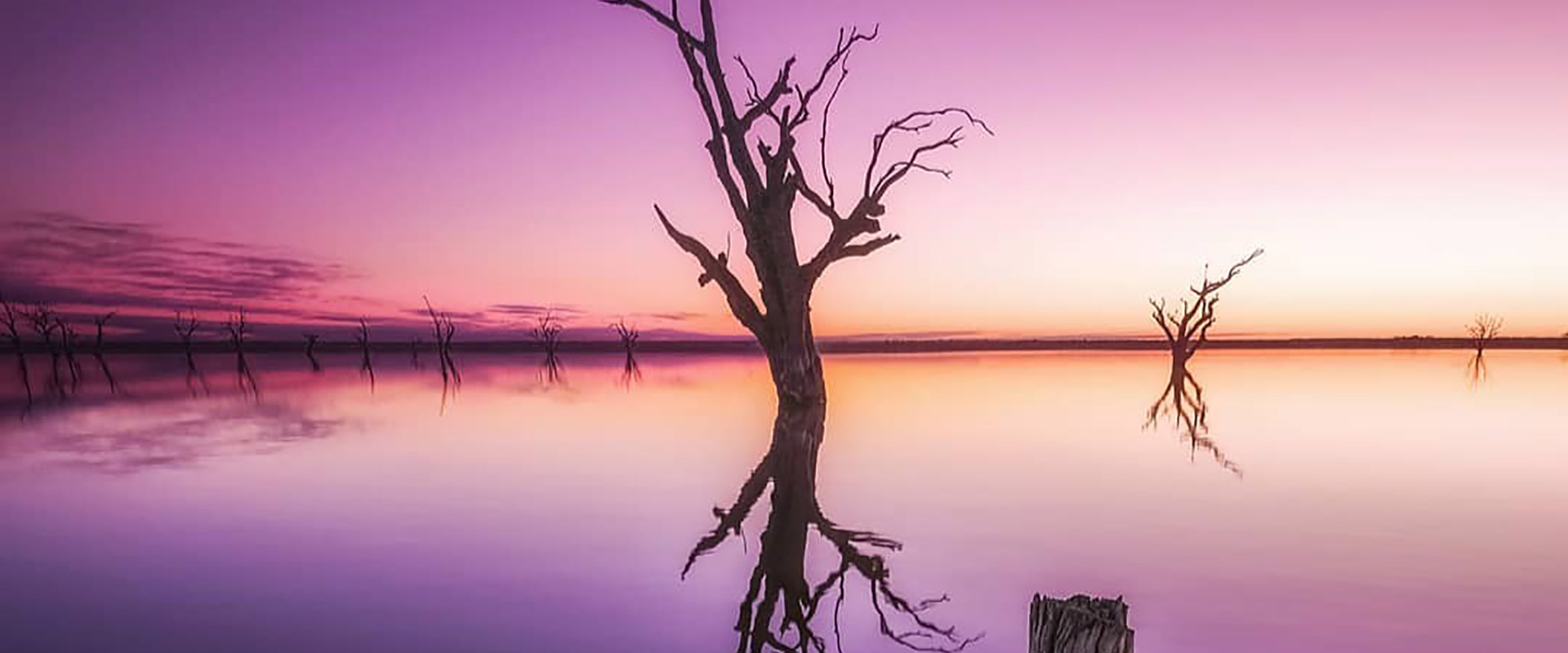 Lake Bonney, Riverland by @sam_markham_ (via IG)
