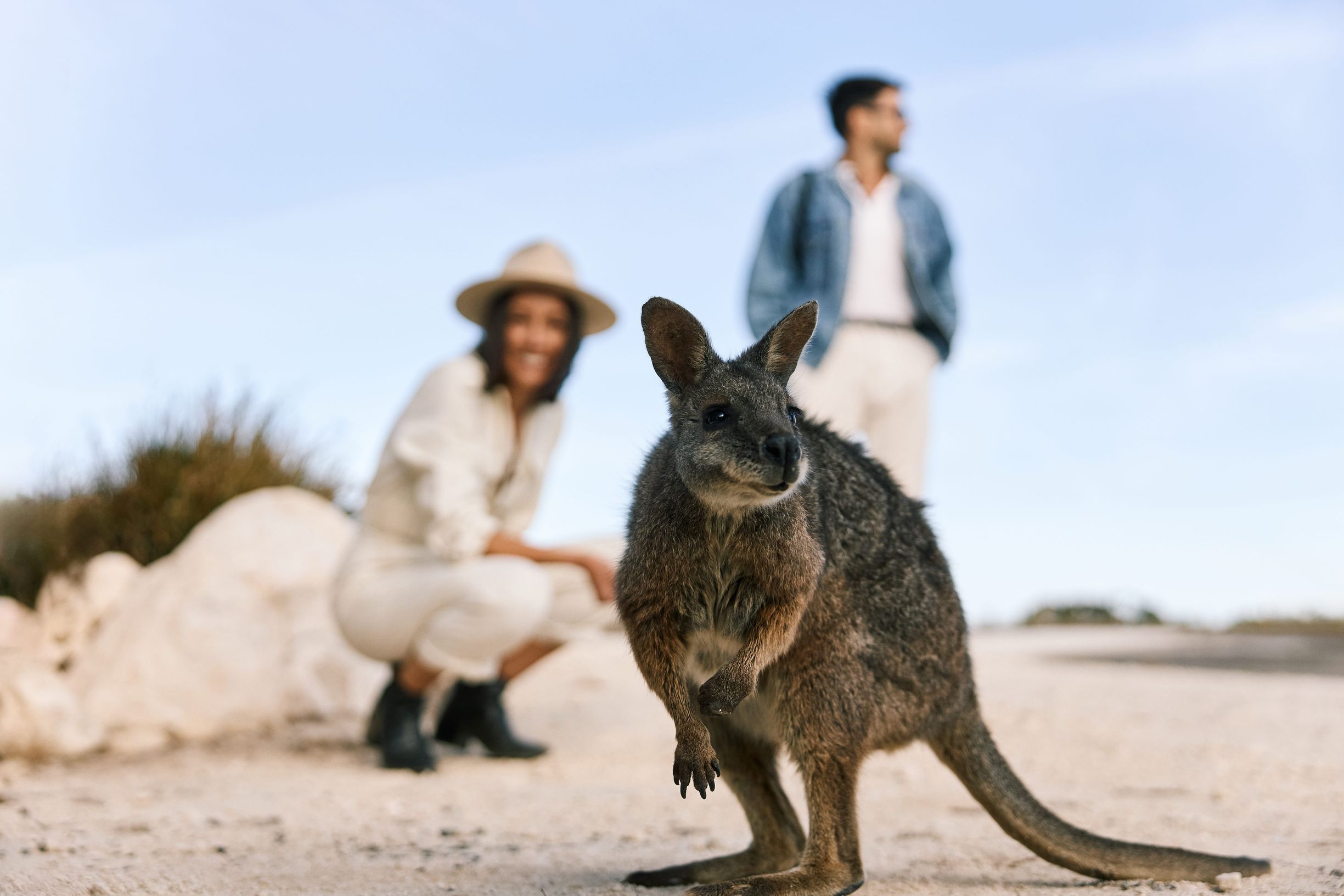 Unforgettable South Australian Journeys
