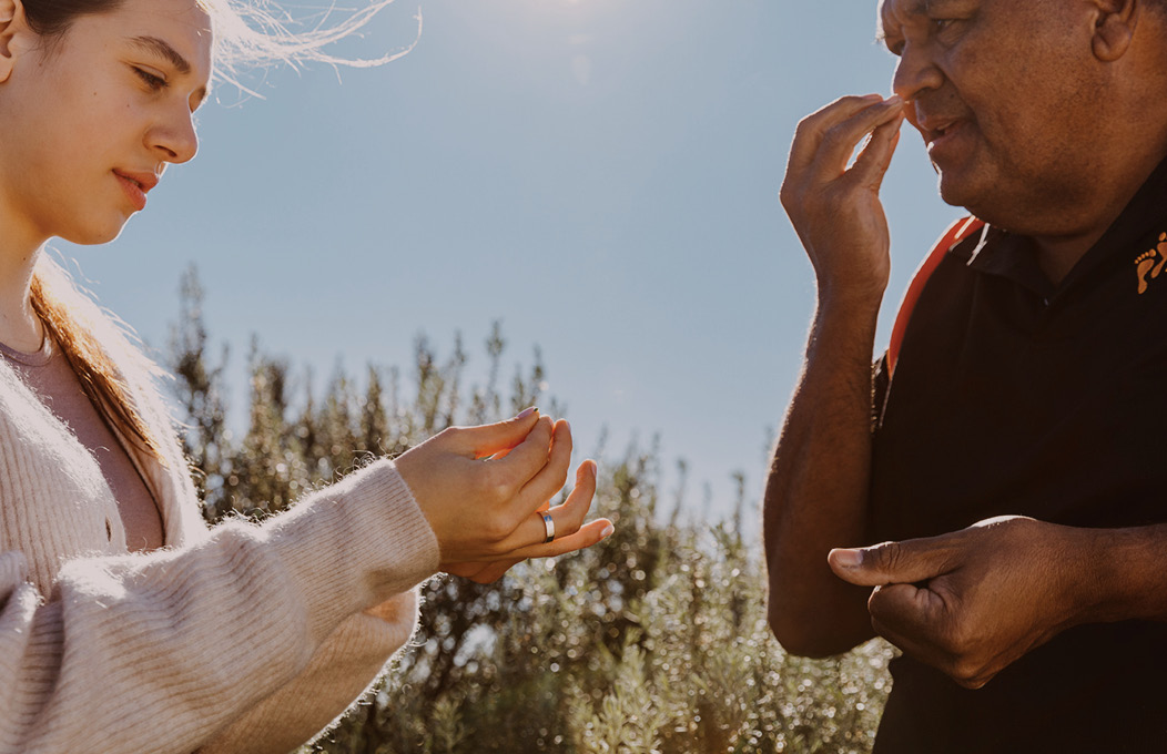 Tours and experiences 