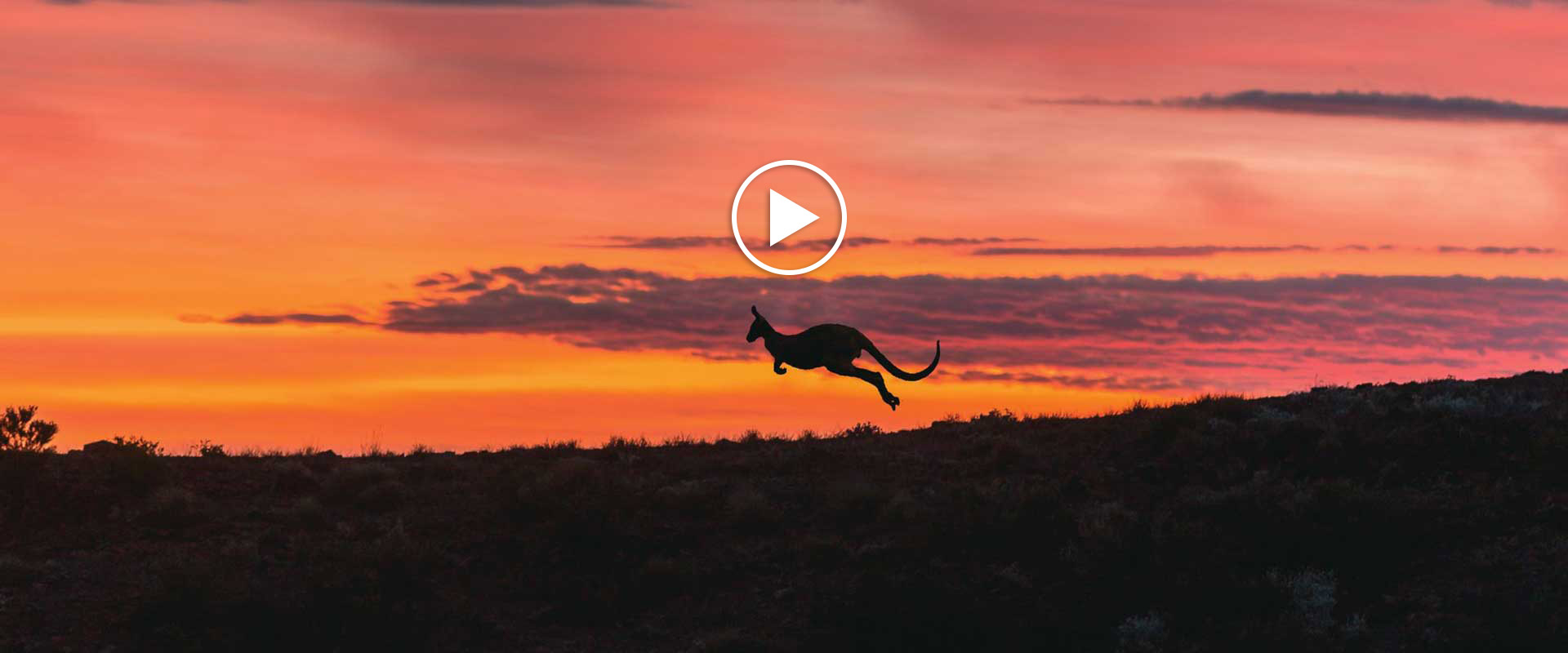 Flinders Ranges and Outback