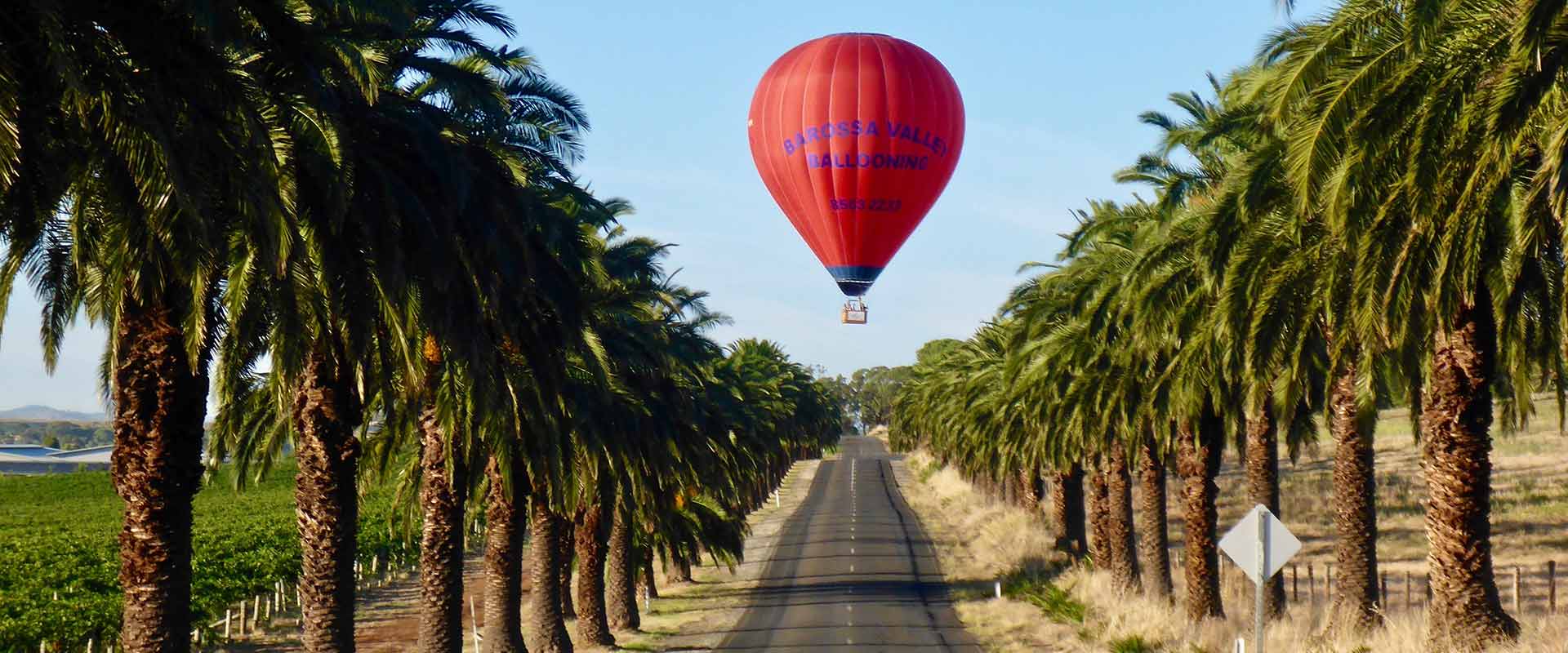 barossa valley