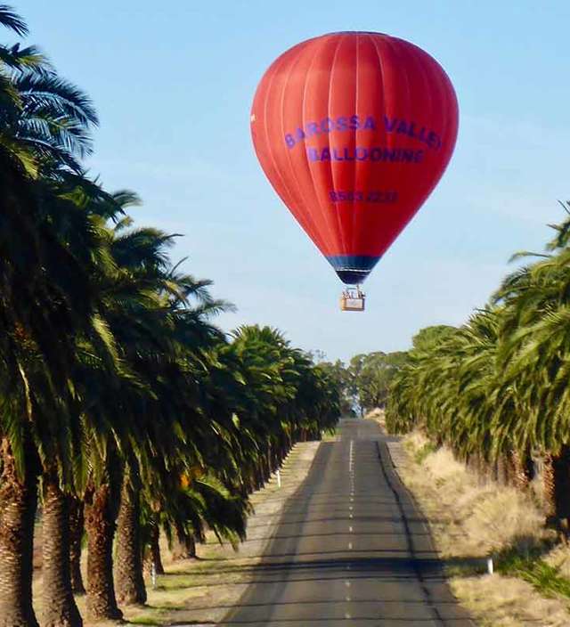 Things to do in the Barossa