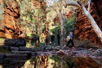 Alligator Gorge Flinders Ranges  Outback