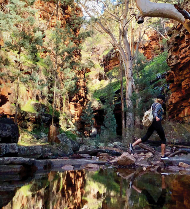 10 of the best waterfall walks in South Australia