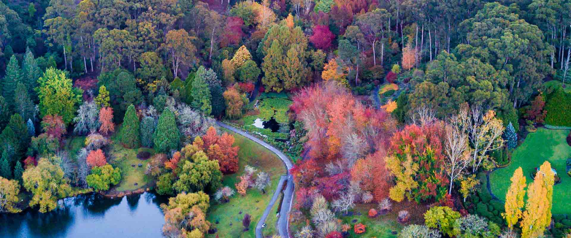 Mount Lofty Botanic Garden, Adelaiden kukkulat