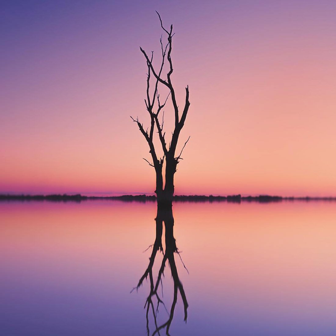 Lake Bonney, Riverland by @nathanwhiteimages