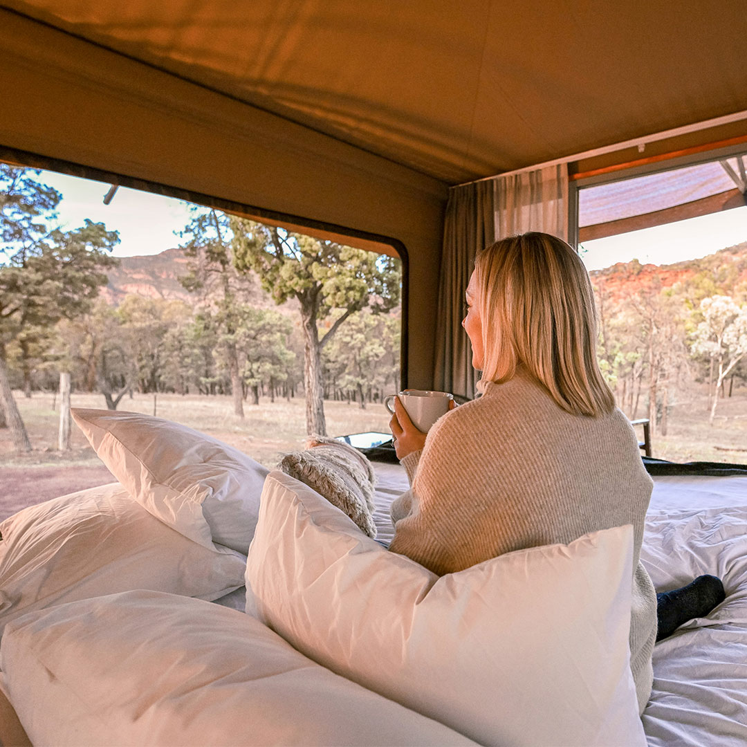 Things to do in Wilpena Pound