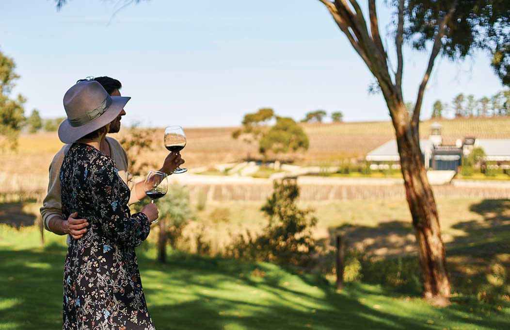 South Australia Wine Experience