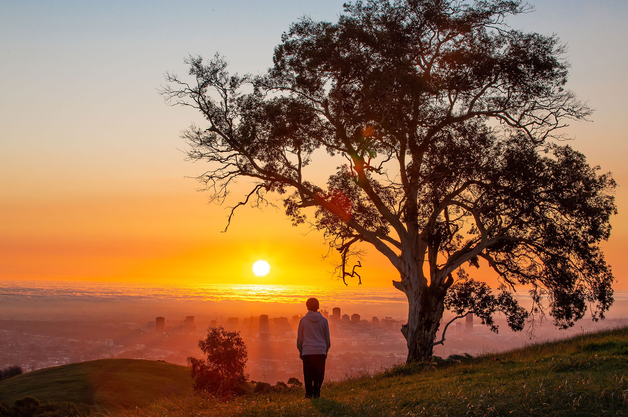 Mtosmond Adelaidehills 2028X1347