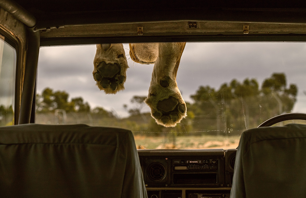 Murray river, lakes and Coorong itinerary