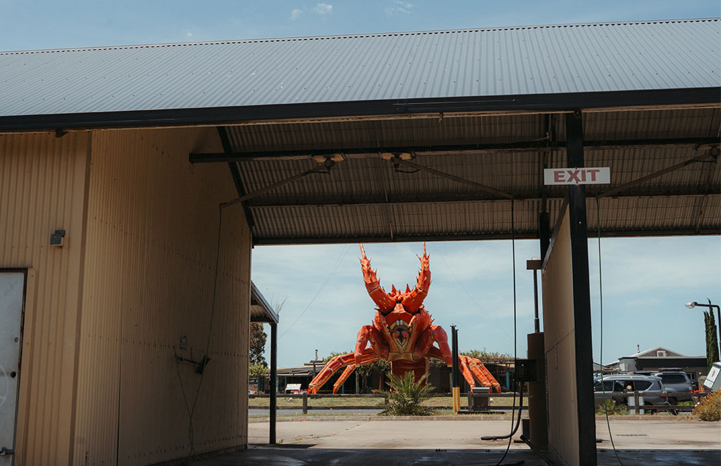 You spot the giant Larry the Lobster through a shed across the road in Kingston SE