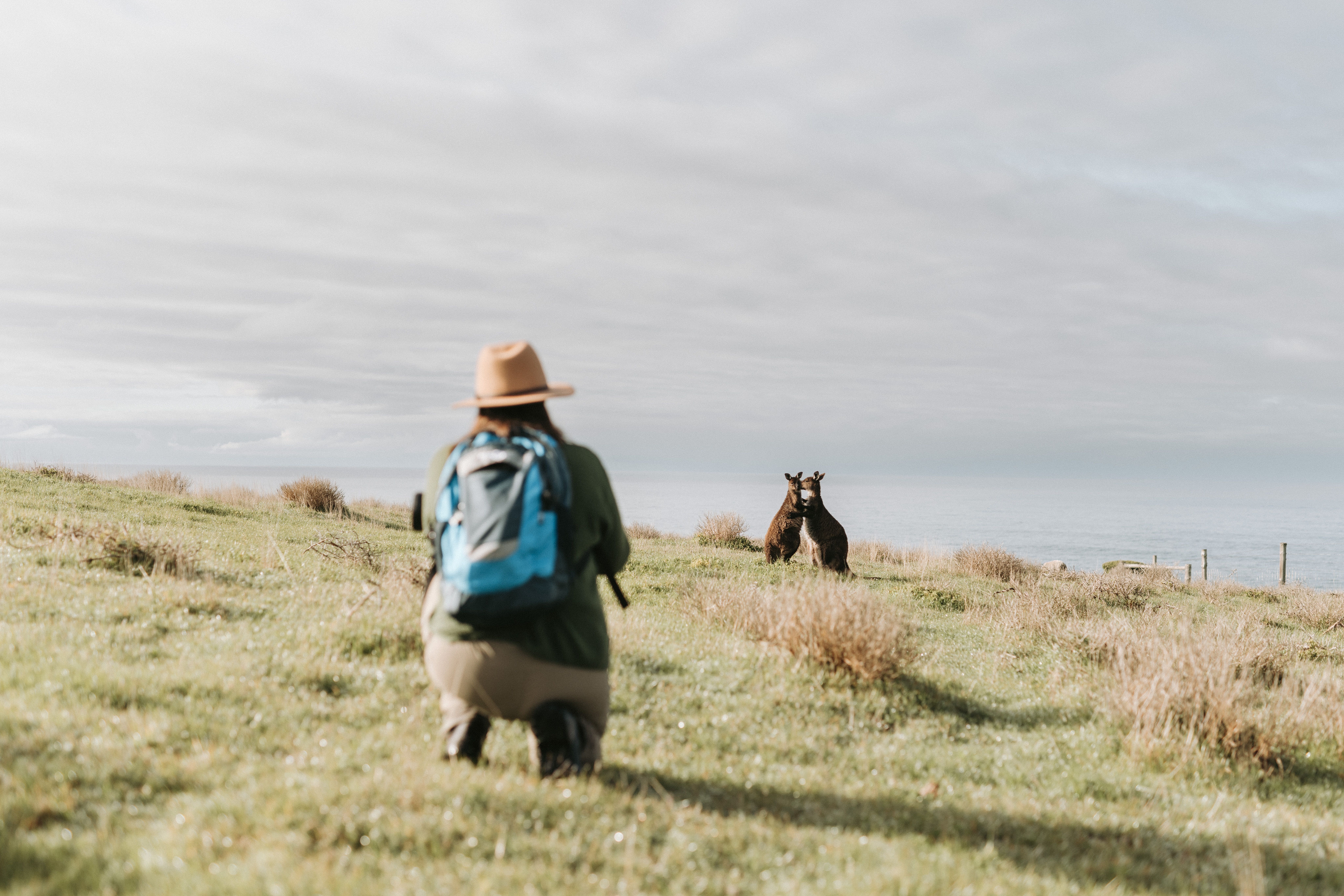 Kangaroo Island Visitor Guide