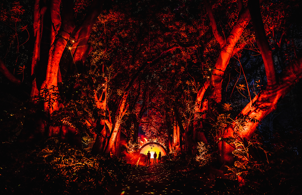 Three silhouettes taking in the Illuminate Adelaide event amongst Adelaide's Botanic Gardens
