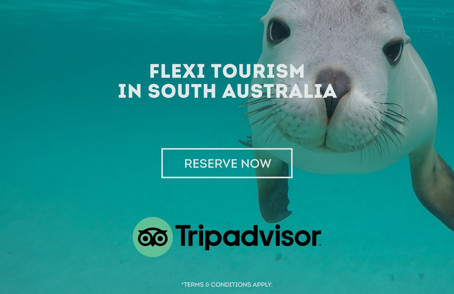DREAM WITH TRIPADVISOR